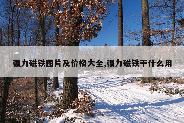 搜索猫和老鼠游戏,搜索猫和老鼠游戏软件正版授权的视频