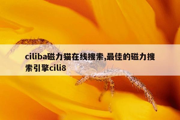 搜索引擎推广有哪些,搜索引擎推广有哪些网站