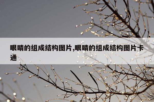 耐高温400度磁铁,耐高温磁铁200度