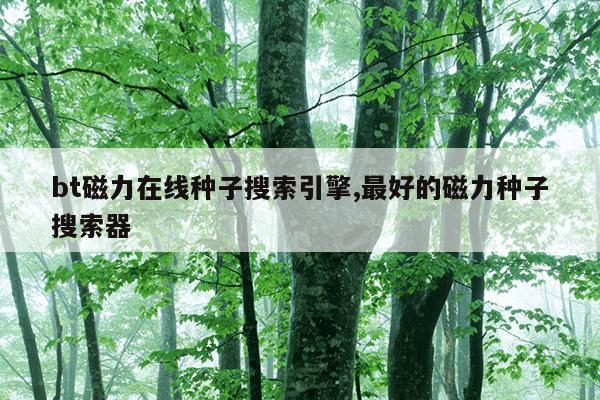 钕铁硼磁铁回收价格,钕铁硼回收多少钱一吨