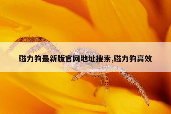 一个电机多少强磁铁,一个电机多少强磁铁组成