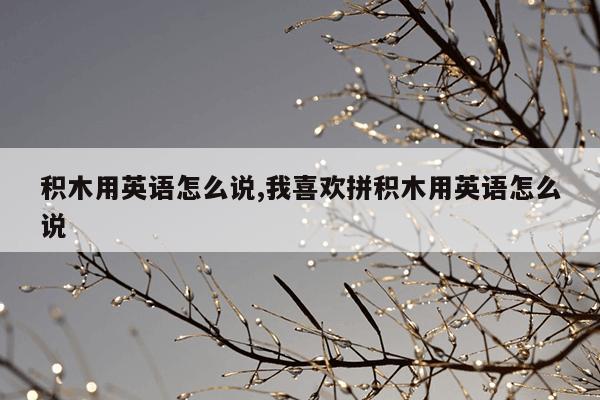 刺猬猫下载的小说,刺猬猫下载的小说怎么删除