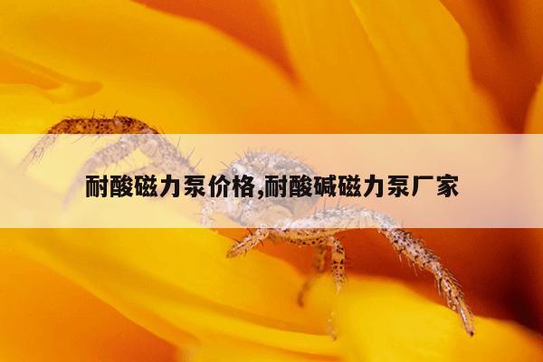 bt蜘蛛搜索官网,蜘蛛搜索引擎bt