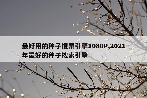 蚂蚁兴能官网,蚂蚁兴能官网app