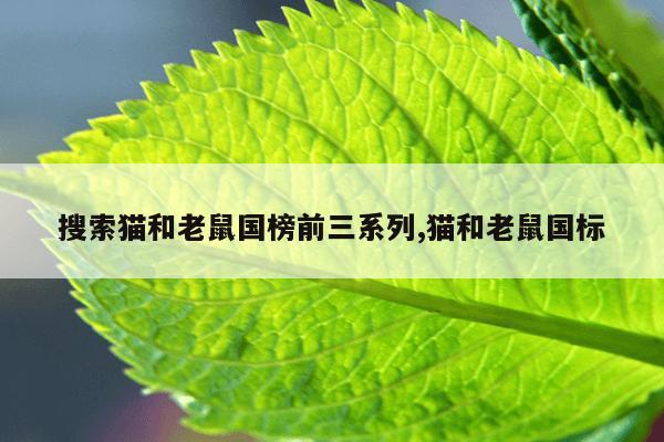 最好用的种子搜索引擎1080P,2021年最好的种子搜索引擎