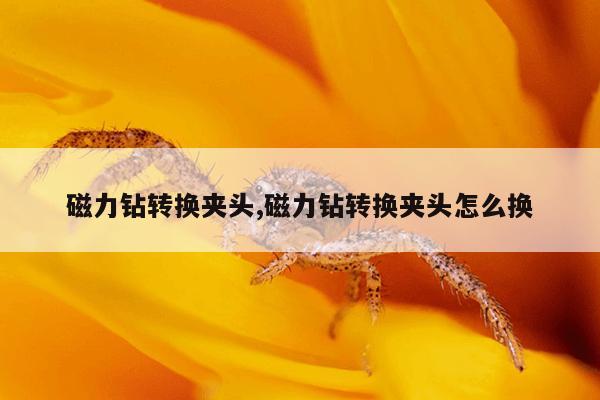 搜索猫和老鼠国榜前三系列,猫和老鼠国标