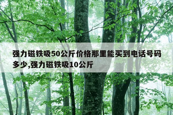 积木用英语怎么说bricks,积木用英语怎么念