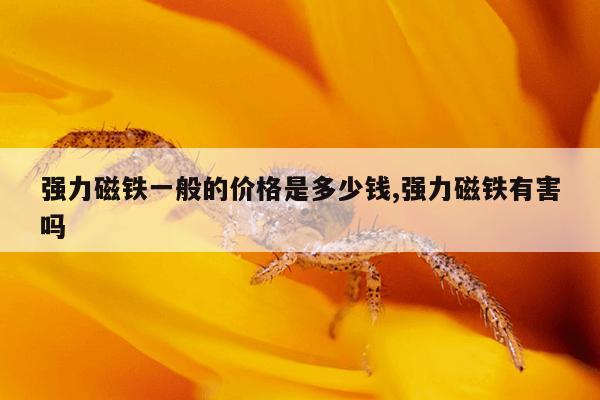 电动车磁铁是什么材质,电动车里的磁铁多少钱1斤