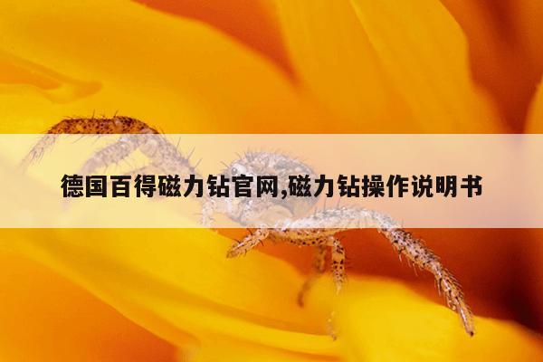 磁力搜索引擎磁力猫在线,磁力猫最佳引擎