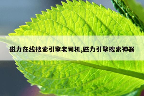 德国百得磁力钻官网,磁力钻操作说明书