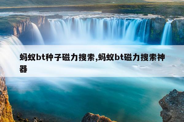 磁力泵叶轮图片,磁力泵维修分解图视频
