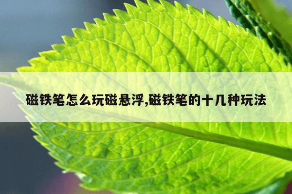 蚂蚁bt种子磁力搜索,蚂蚁bt磁力搜索神器