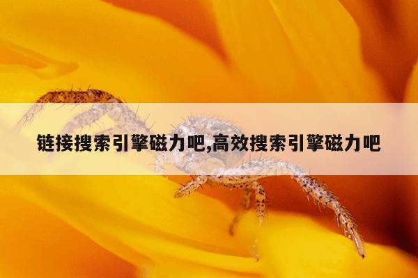 种子搜索神器最新版下载,种子搜索神器直接用的