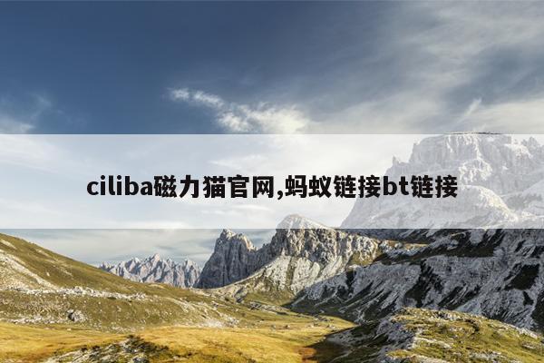 钕铁硼强力磁铁厂家,钕铁硼磁铁厂家龙头企业