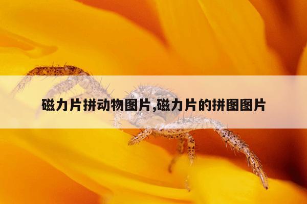 百度搜索引擎怎么弄,百度搜索怎么实现的