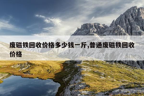 钕铁硼磁铁价格多少钱一个,钕铁硼磁铁价格上涨