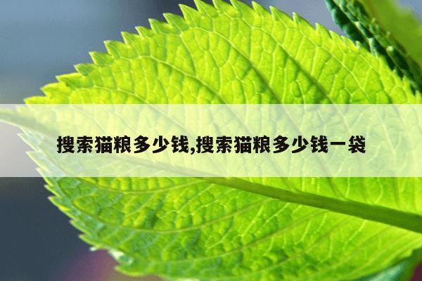 蚂蚁磁力搜索引擎在线,bt蚂蚁磁力搜索引擎在线