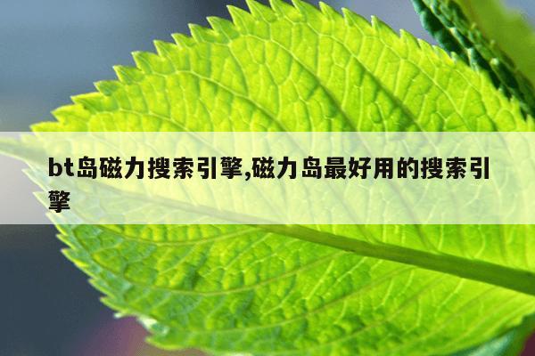 蜘蛛磁力搜索器,磁力搜索 bt蚂蚁