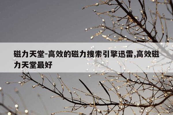 迅雷磁力搜索天堂,磁力猫 在线搜索
