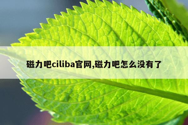 磁力天堂-高效的磁力搜索引擎迅雷,高效磁力天堂最好