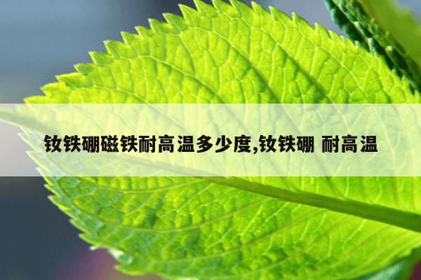 磁力片拼动物园,磁力片拼圆