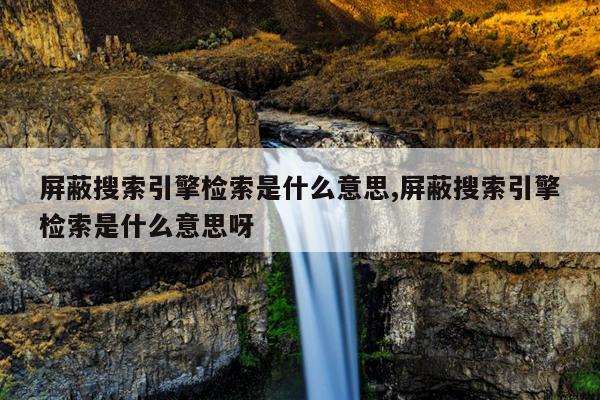 种子搜索神器在线kitty,种子搜索神器