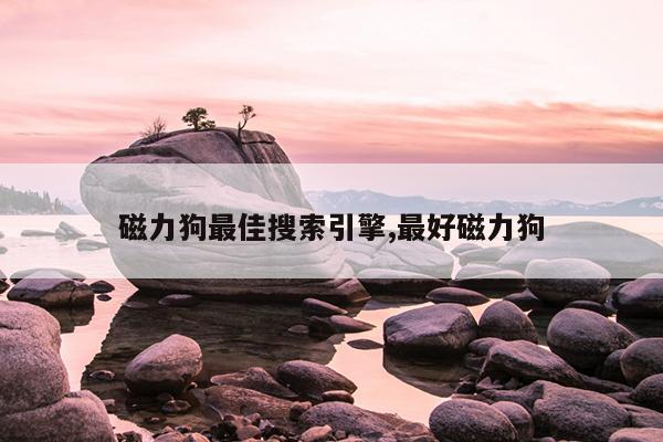 输送机专业制造厂家排名,输送机专业制造厂家排名前十名