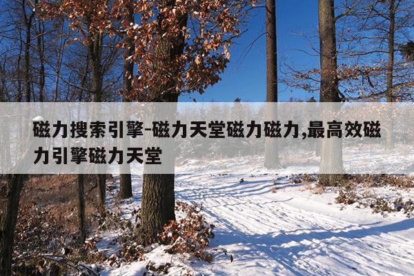 打捞强磁铁多少钱,打捞强力磁铁多少钱一个
