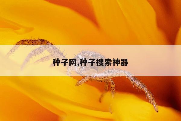 BT兔子磁力天堂引擎,bt 兔子