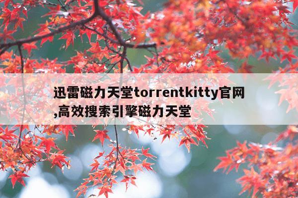 最好用的磁力bt链接在线,最高效磁力链搜索