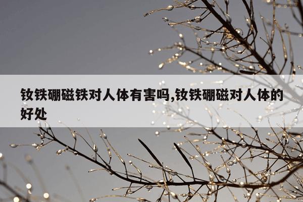 迅雷磁力天堂torrentkitty官网,高效搜索引擎磁力天堂