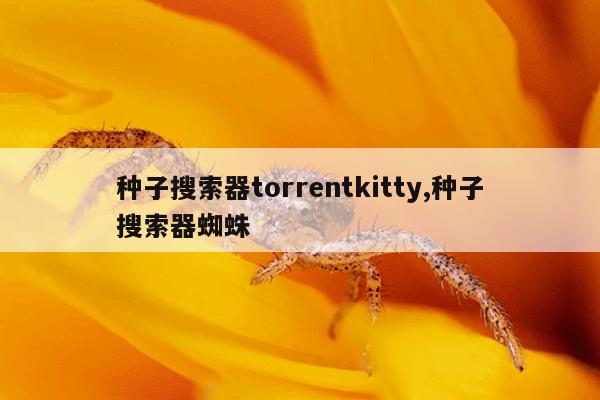 百度搜索引擎入口下载,百度搜索引擎入口下载