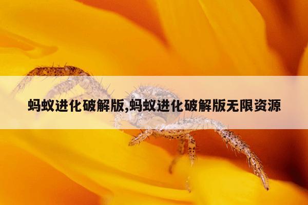 bt种子搜索引擎-磁力岛,最好的磁力种子搜索器