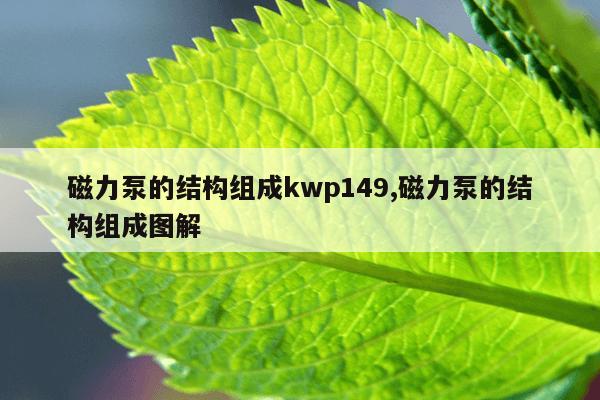 龙岩磁力泵厂家直销,磁力泵厂家排名