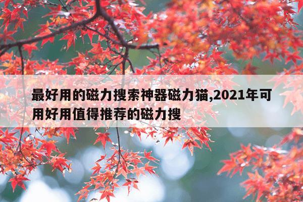 搜索猫,搜索猫的作文100字