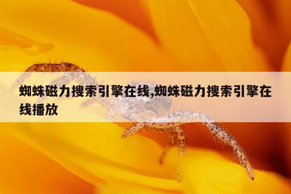 最好用的磁力搜索神器磁力猫,2021年可用好用值得推荐的磁力搜