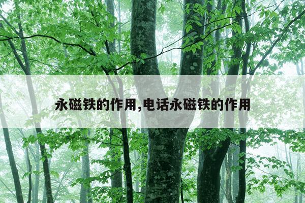 磁力泵的结构组成及工作原理,磁力泵的结构组成及工作原理图片