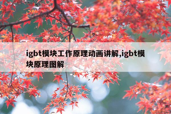 天然气换表该收不收费,天然气换表要收费吗