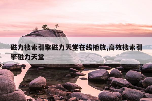 磁力泵的原理及结构,磁力泵原理动态图