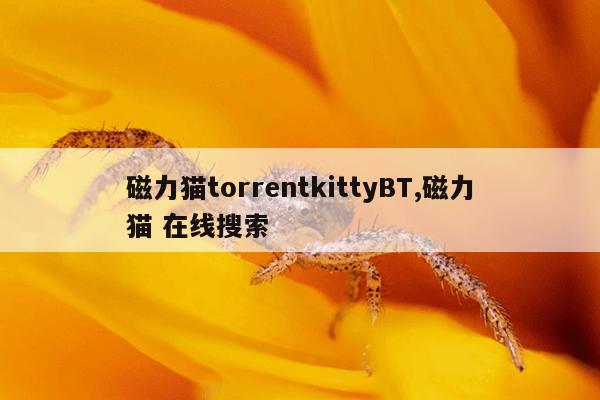 蚂蚁官网下载,蚂蚁 官网