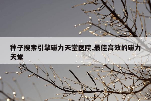 永磁铁和电磁铁的区别,电磁铁和永久磁铁有哪些相同点和不同点
