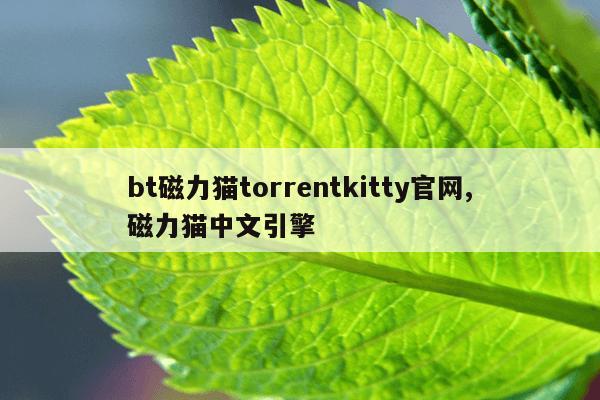 电动车电机磁铁回收价格,旧电动车磁铁多少钱