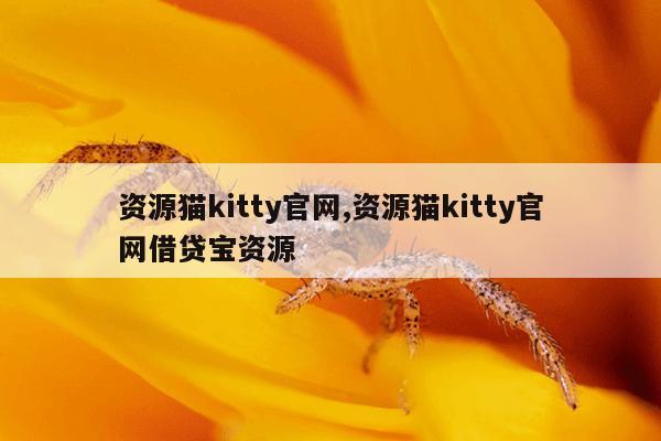 刺猬猫阅读官网听书下载,刺猬猫官网下载就听书包