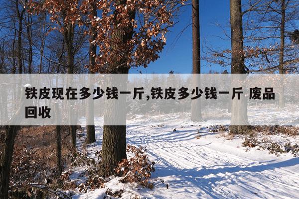 最佳磁力链ciliba,磁力引擎 磁力天堂