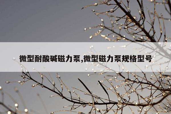 樱桃cherry官网二手,樱桃二手车