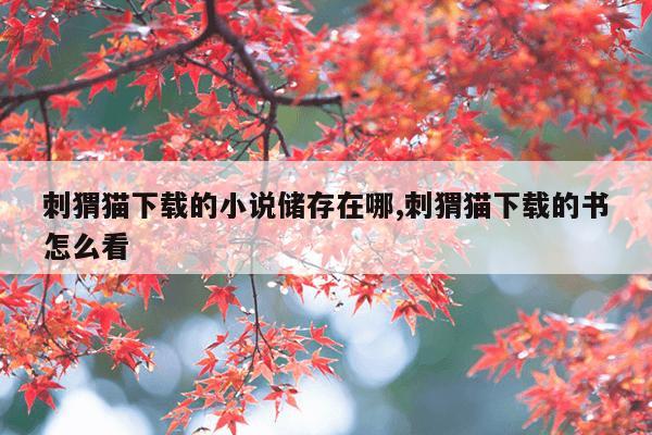 最佳的资源搜索引擎下载,最好用的资源搜索器