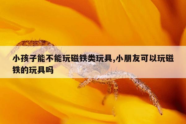 磁力泵的结构组成a1和a2的区别,磁力泵选型手册