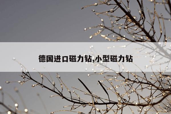 蚂蚁进化3d无限资源版,蚂蚁进化3d无限资源版2021