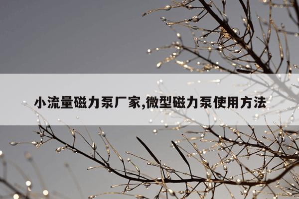 中国磁力泵最好的厂家,进口磁力泵品牌