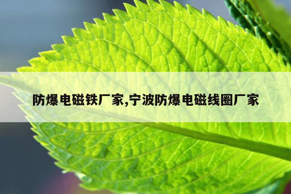 强力打捞磁铁怎么和铁分开,打捞强力磁铁一天能赚钱吗